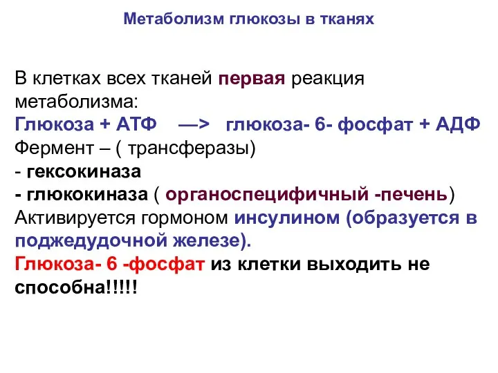 В клетках всех тканей первая реакция метаболизма: Глюкоза + АТФ —>