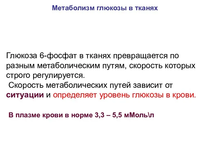 Глюкоза 6-фосфат в тканях превращается по разным метаболическим путям, скорость которых