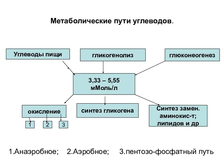 Метаболические пути углеводов. 3,33 – 5,55 мМоль/л глюконеогенез гликогенолиз Углеводы пищи