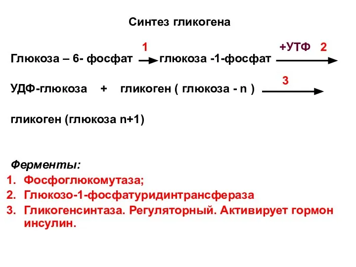 Синтез гликогена Глюкоза – 6- фосфат глюкоза -1-фосфат УДФ-глюкоза + гликоген