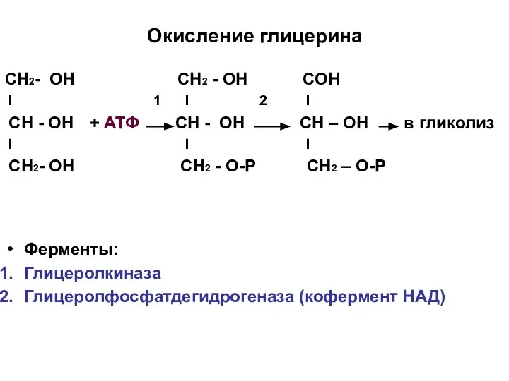 Окисление глицерина СН2- ОН СН2 - ОН СОН I 1 I