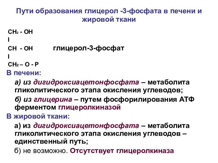 Пути образования глицерол -3-фосфата в печени и жировой ткани СН2 -