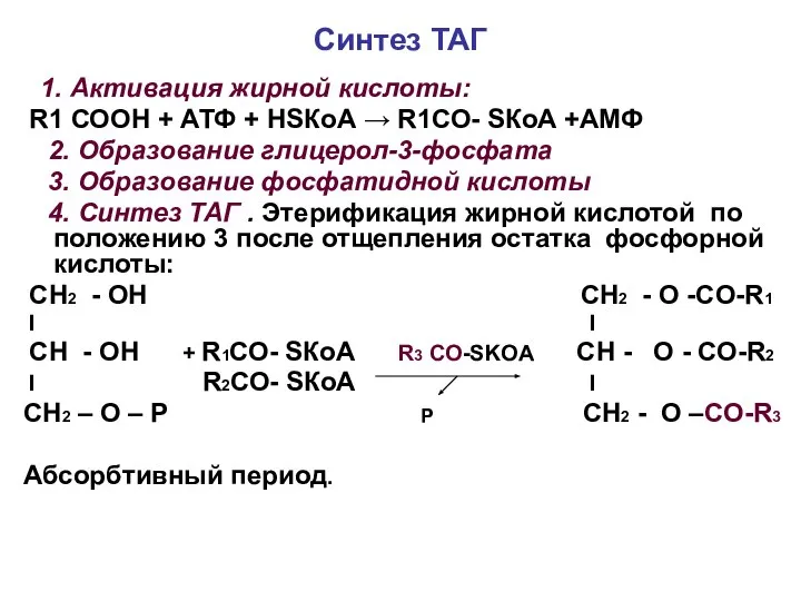 Синтез ТАГ 1. Активация жирной кислоты: R1 СООН + АТФ +