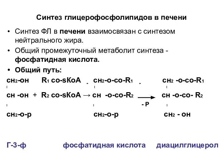 Синтез глицерофосфолипидов в печени Синтез ФЛ в печени взаимосвязан с синтезом