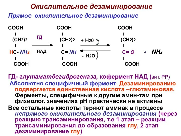 Окислительное дезаминирование Прямое окислительное дезаминирование COOH COOH COOH I I I