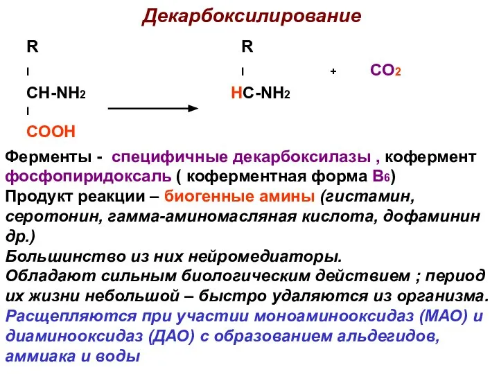Декарбоксилирование R R I I + CO2 CH-NH2 HC-NH2 I COOH