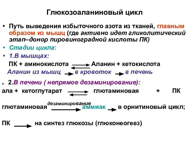 Глюкозоаланиновый цикл Путь выведения избыточного азота из тканей, главным образом из