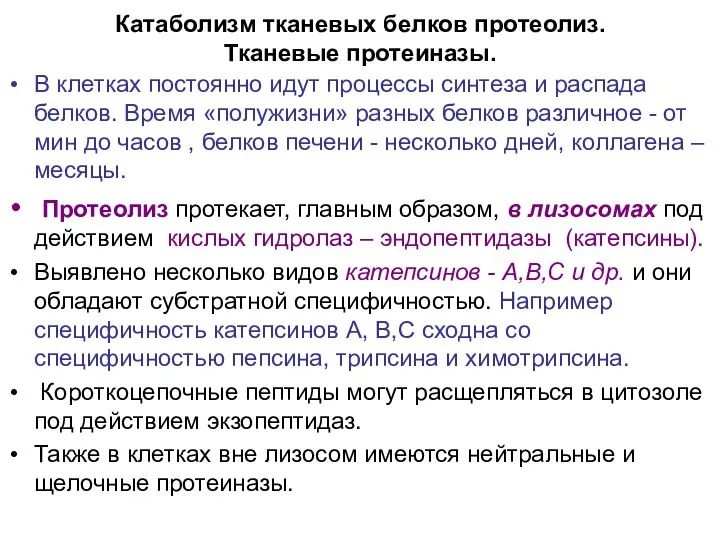 Катаболизм тканевых белков протеолиз. Тканевые протеиназы. В клетках постоянно идут процессы