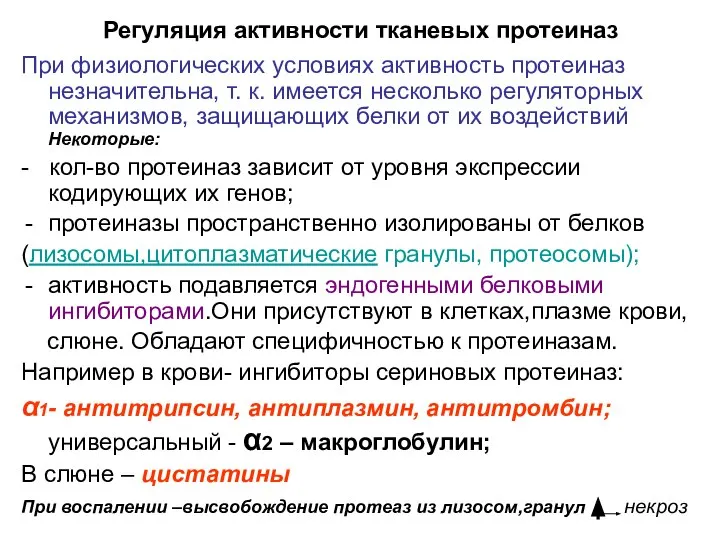 Регуляция активности тканевых протеиназ При физиологических условиях активность протеиназ незначительна, т.