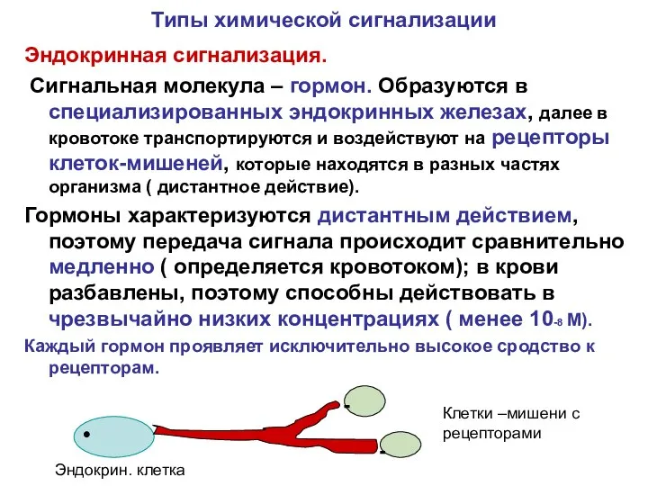 Типы химической сигнализации Эндокринная сигнализация. Сигнальная молекула – гормон. Образуются в