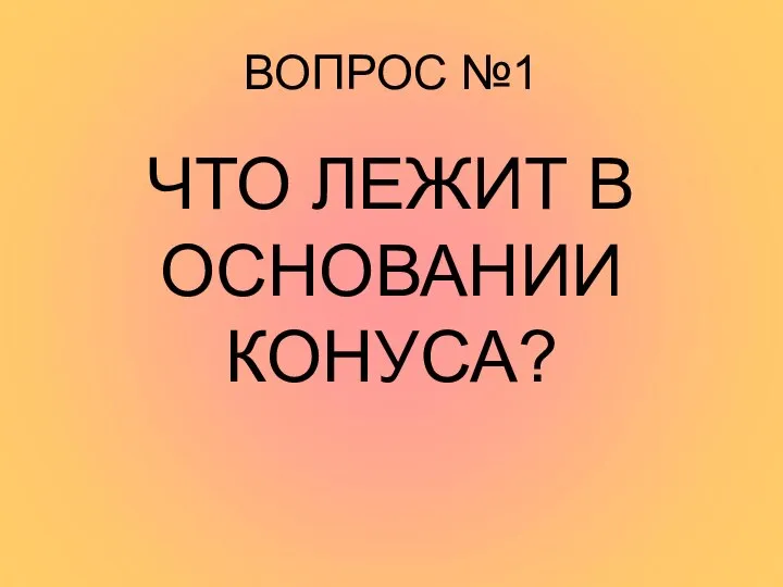 ВОПРОС №1 ЧТО ЛЕЖИТ В ОСНОВАНИИ КОНУСА?