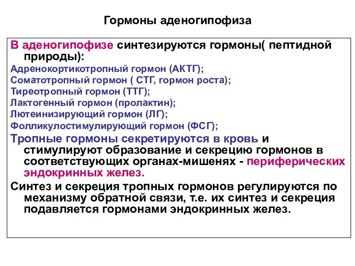 Гормоны аденогипофиза В аденогипофизе синтезируются гормоны( пептидной природы): Адренокортикотропный гормон (АКТГ);