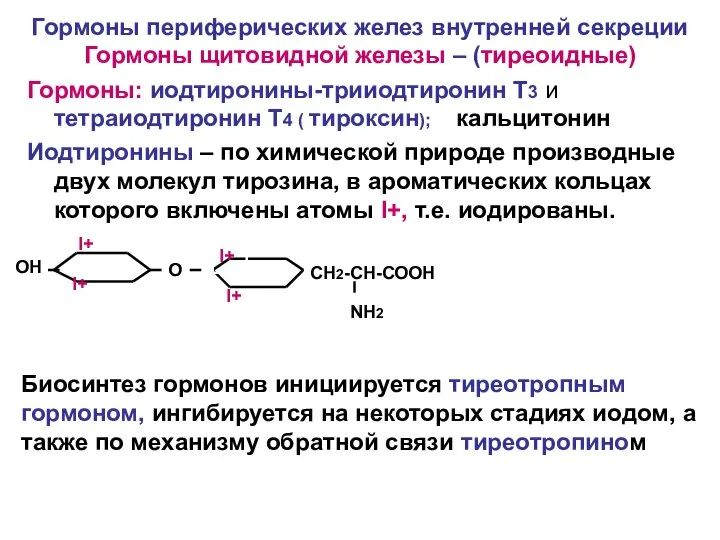 Гормоны периферических желез внутренней секреции Гормоны щитовидной железы – (тиреоидные) Гормоны: