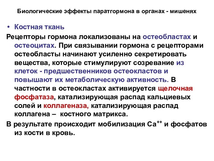 Биологические эффекты паратгормона в органах - мишенях Костная ткань Рецепторы гормона