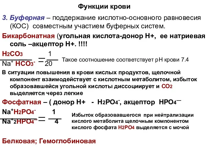 Функции крови 3. Буферная – поддержание кислотно-основного равновесия (КОС) совместным участием