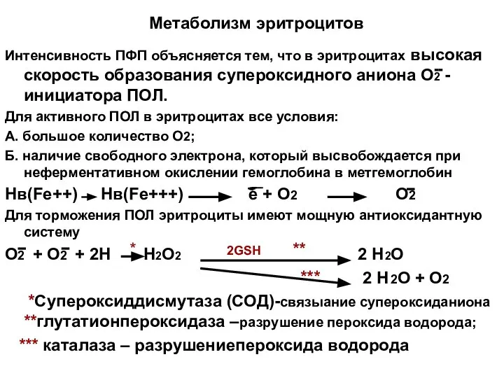 Метаболизм эритроцитов Интенсивность ПФП объясняется тем, что в эритроцитах высокая скорость