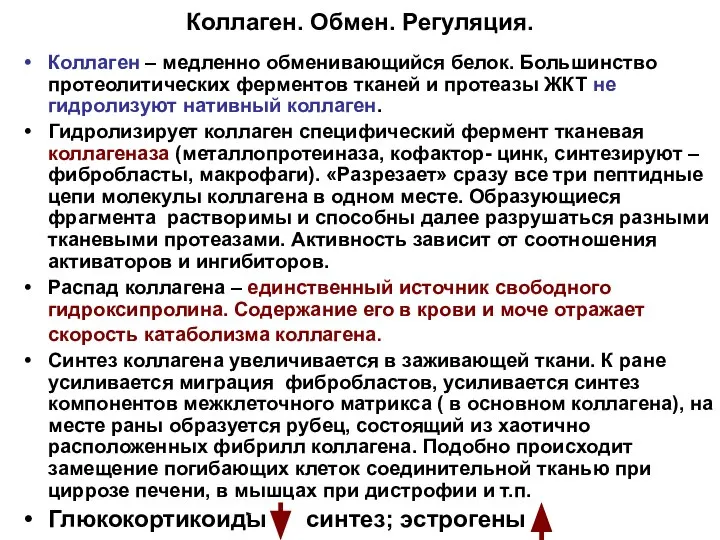 Коллаген. Обмен. Регуляция. Коллаген – медленно обменивающийся белок. Большинство протеолитических ферментов