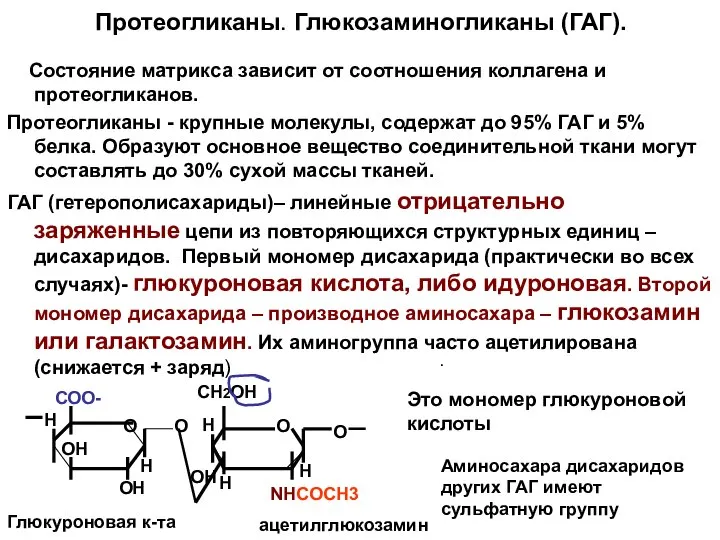 Протеогликаны. Глюкозаминогликаны (ГАГ). Состояние матрикса зависит от соотношения коллагена и протеогликанов.