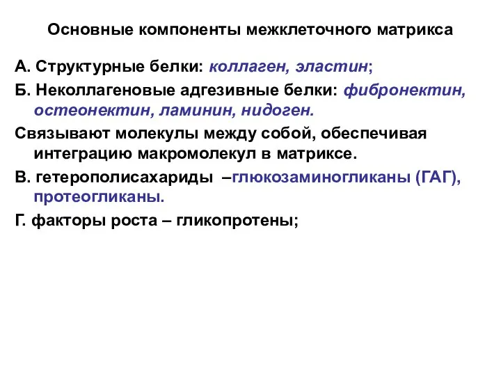 Основные компоненты межклеточного матрикса А. Структурные белки: коллаген, эластин; Б. Неколлагеновые