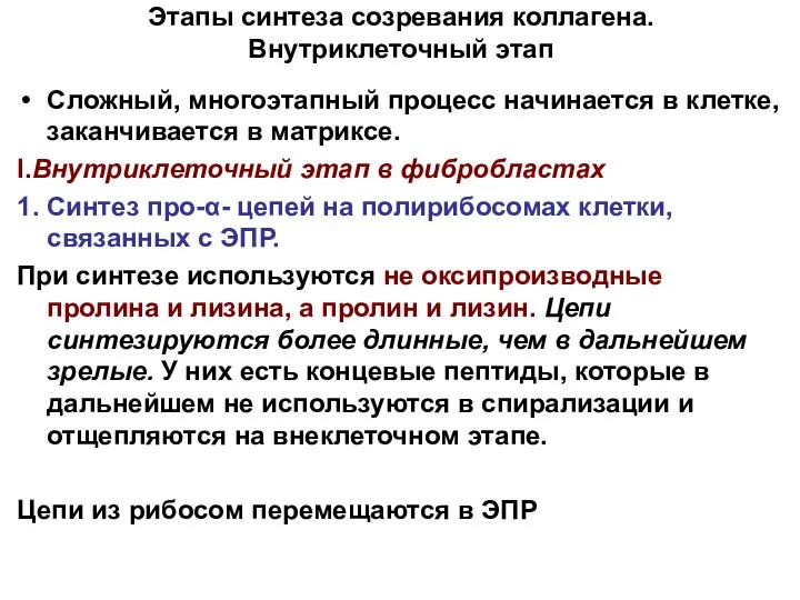 Этапы синтеза созревания коллагена. Внутриклеточный этап Сложный, многоэтапный процесс начинается в