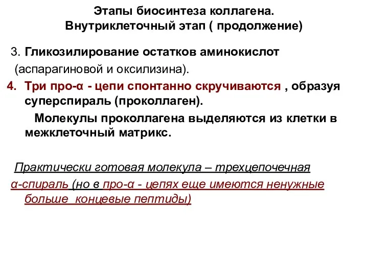 Этапы биосинтеза коллагена. Внутриклеточный этап ( продолжение) 3. Гликозилирование остатков аминокислот