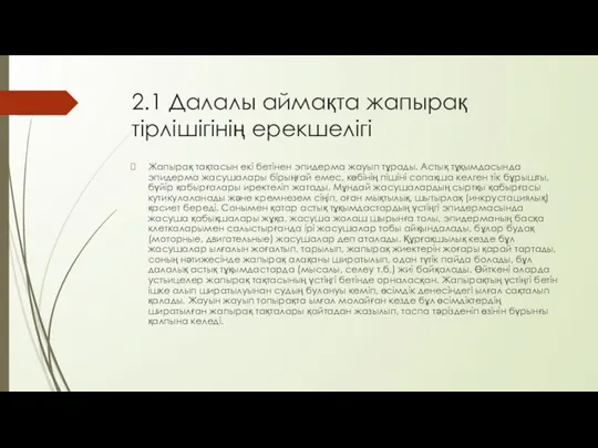 2.1 Далалы аймақта жапырақ тірлішігінің ерекшелігі Жапырақ тақтасын екі бетінен эпидерма