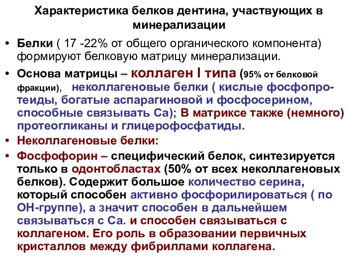 Характеристика белков дентина, участвующих в минерализации Белки ( 17 -22% от