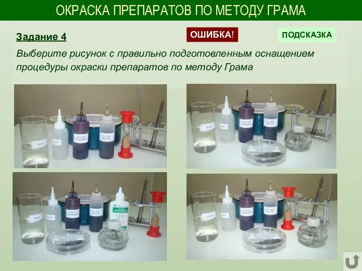 ОКРАСКА ПРЕПАРАТОВ ПО МЕТОДУ ГРАМА Задание 4 Выберите рисунок с правильно