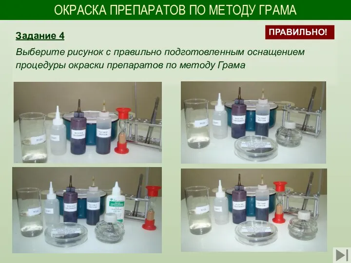 ОКРАСКА ПРЕПАРАТОВ ПО МЕТОДУ ГРАМА Задание 4 Выберите рисунок с правильно