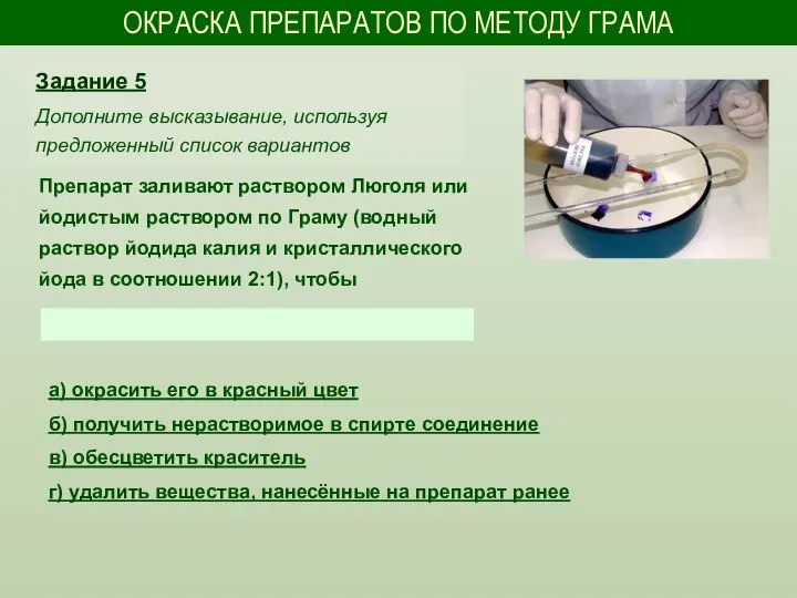 ОКРАСКА ПРЕПАРАТОВ ПО МЕТОДУ ГРАМА Препарат заливают раствором Люголя или йодистым