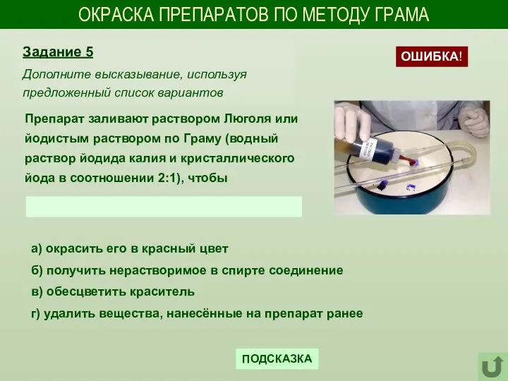 ОКРАСКА ПРЕПАРАТОВ ПО МЕТОДУ ГРАМА Препарат заливают раствором Люголя или йодистым