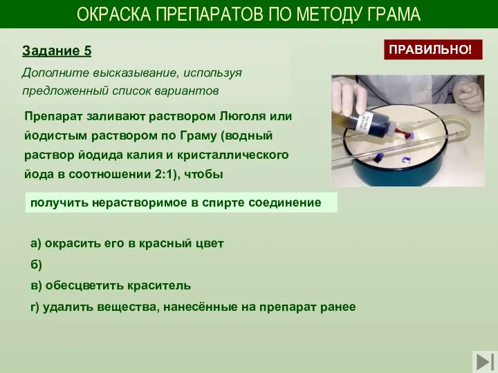 ОКРАСКА ПРЕПАРАТОВ ПО МЕТОДУ ГРАМА Препарат заливают раствором Люголя или йодистым