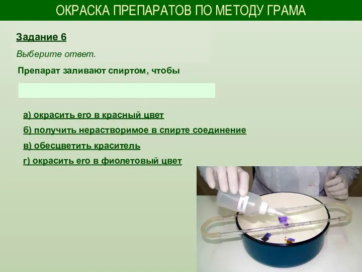 ОКРАСКА ПРЕПАРАТОВ ПО МЕТОДУ ГРАМА Препарат заливают спиртом, чтобы Задание 6