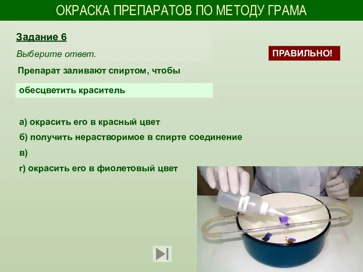 ОКРАСКА ПРЕПАРАТОВ ПО МЕТОДУ ГРАМА Препарат заливают спиртом, чтобы Задание 6