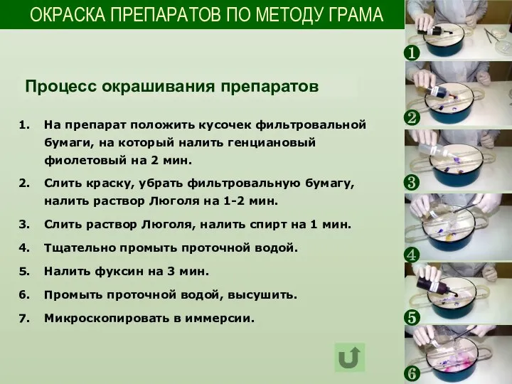 ОКРАСКА ПРЕПАРАТОВ ПО МЕТОДУ ГРАМА На препарат положить кусочек фильтровальной бумаги,