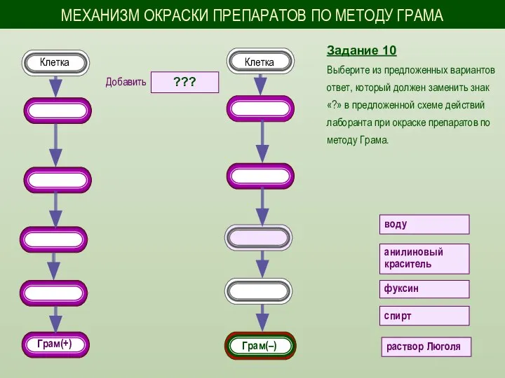 Задание 10 Выберите из предложенных вариантов ответ, который должен заменить знак