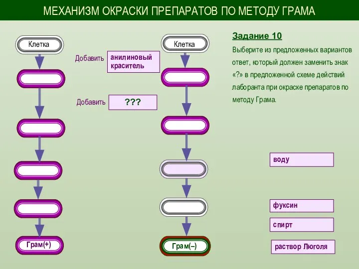 Задание 10 Выберите из предложенных вариантов ответ, который должен заменить знак