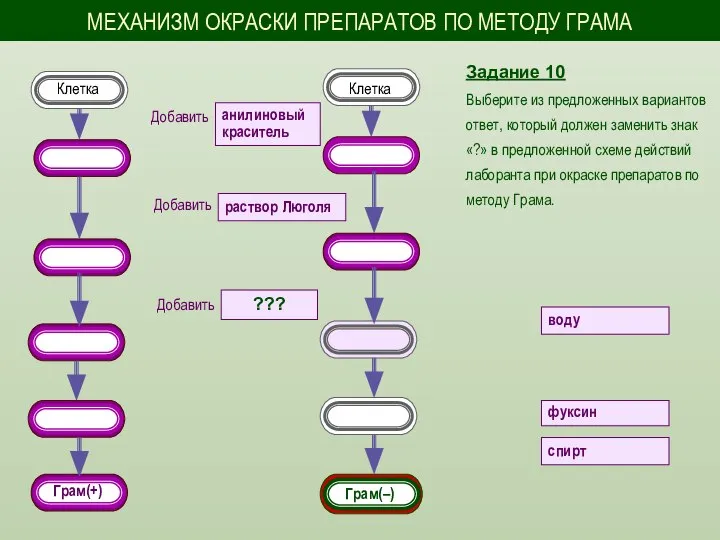 Задание 10 Выберите из предложенных вариантов ответ, который должен заменить знак