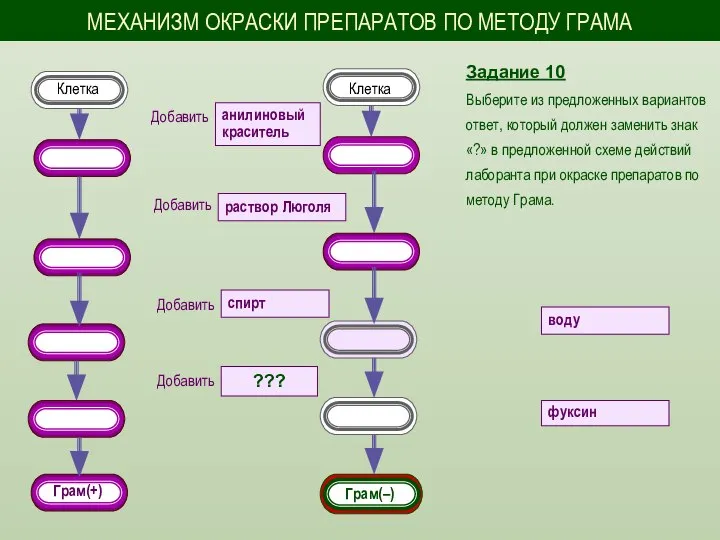 Задание 10 Выберите из предложенных вариантов ответ, который должен заменить знак