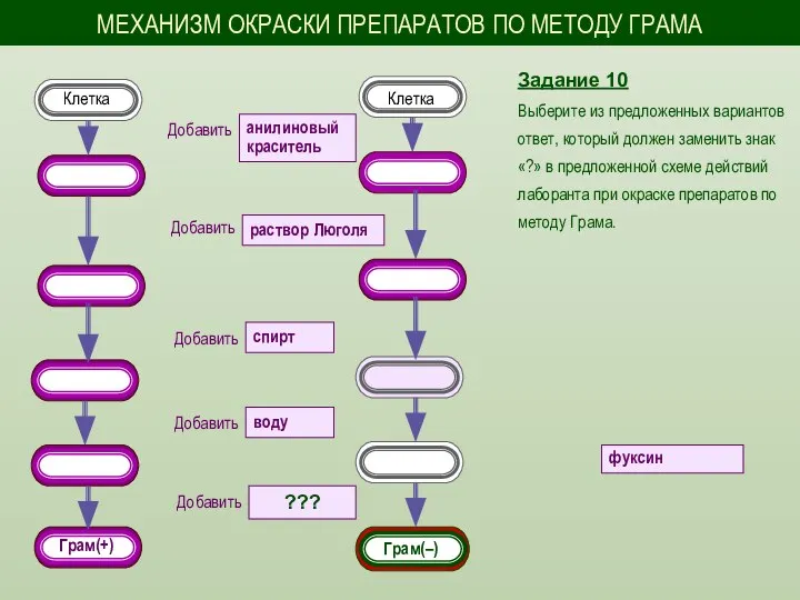 Задание 10 Выберите из предложенных вариантов ответ, который должен заменить знак