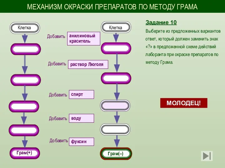 Задание 10 Выберите из предложенных вариантов ответ, который должен заменить знак