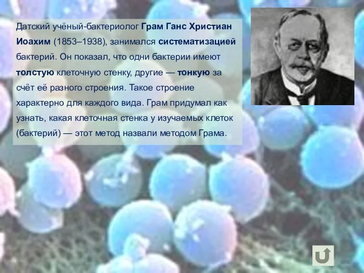 Датский учёный-бактериолог Грам Ганс Христиан Иоахим (1853–1938), занимался систематизацией бактерий. Он