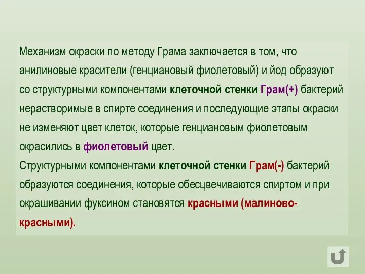 Механизм окраски по методу Грама заключается в том, что анилиновые красители