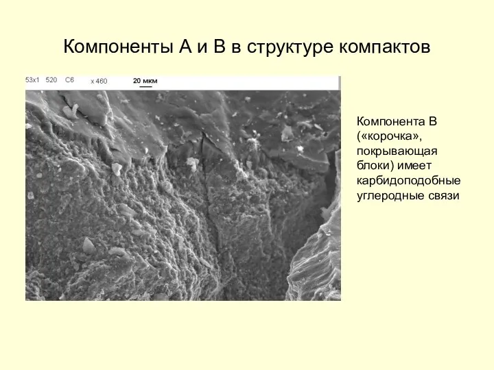 Компоненты А и В в структуре компактов Компонента В («корочка», покрывающая блоки) имеет карбидоподобные углеродные связи