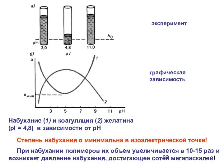 Степень набухания α минимальна в изоэлектрической точке! Набухание (1) и коагуляция