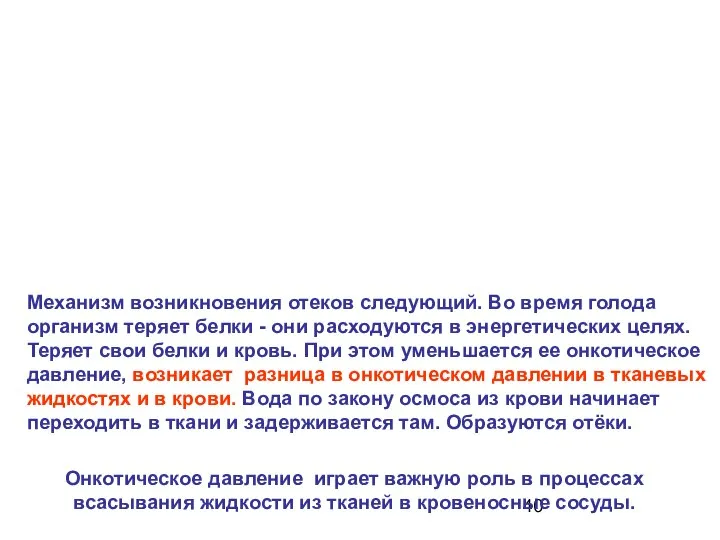 Механизм возникновения отеков следующий. Во время голода организм теряет белки -