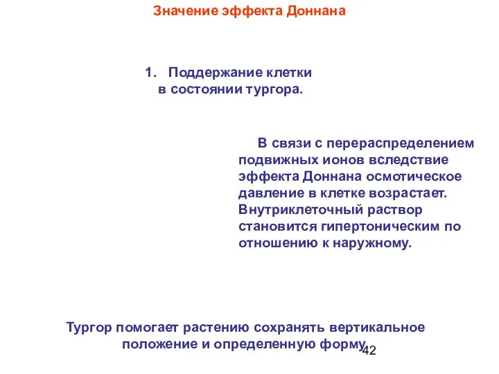 Значение эффекта Доннана Тургор помогает растению сохранять вертикальное положение и определенную