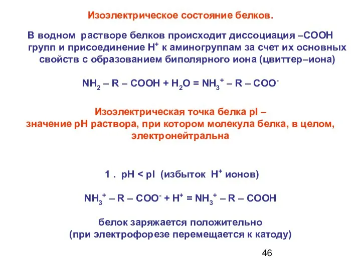 В водном растворе белков происходит диссоциация –СООН групп и присоединение Н+