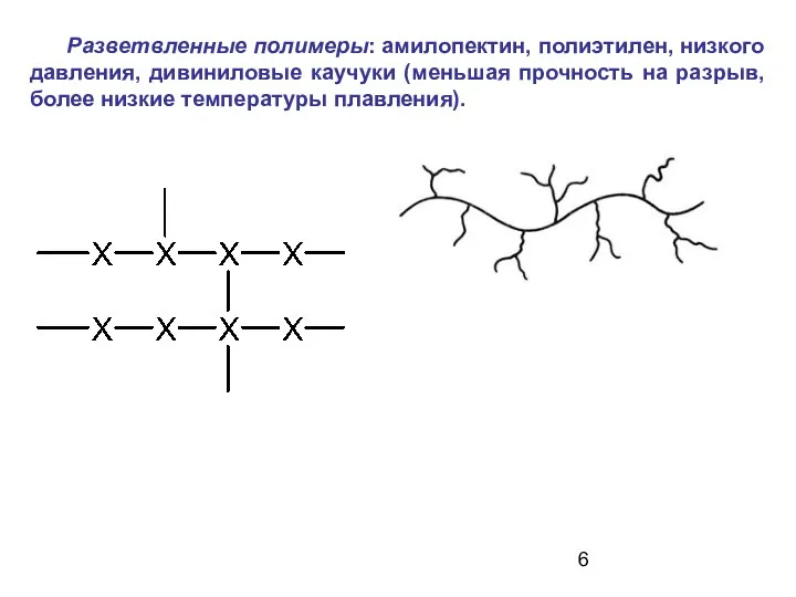 Разветвленные полимеры: амилопектин, полиэтилен, низкого давления, дивиниловые каучуки (меньшая прочность на разрыв, более низкие температуры плавления).