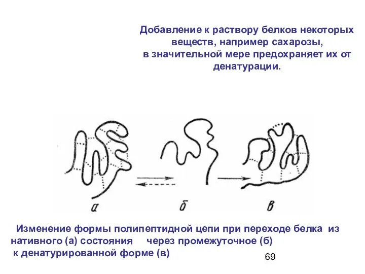 Добавление к раствору белков некоторых веществ, например сахарозы, в значительной мере